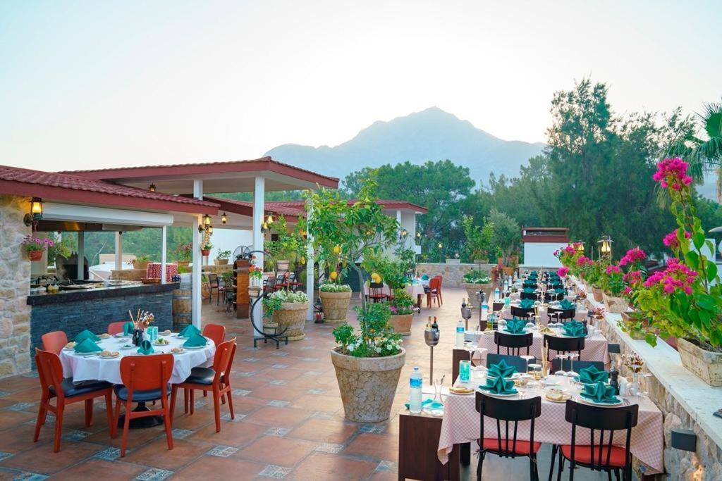 Pirate'S Beach Club Текирова Екстериор снимка