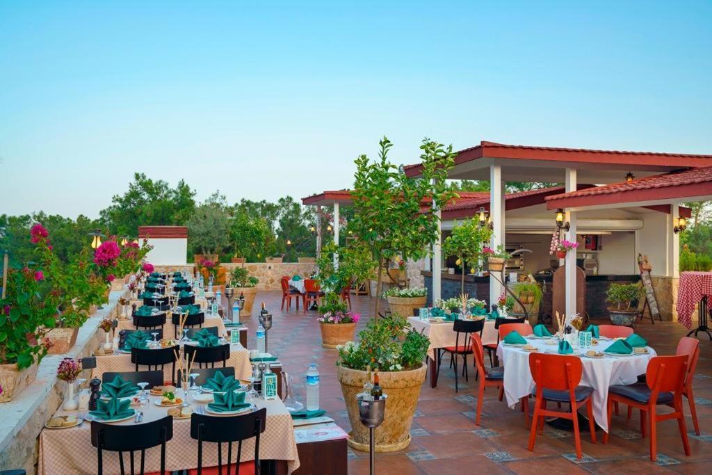 Pirate'S Beach Club Текирова Екстериор снимка